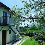 & Waldkrieber