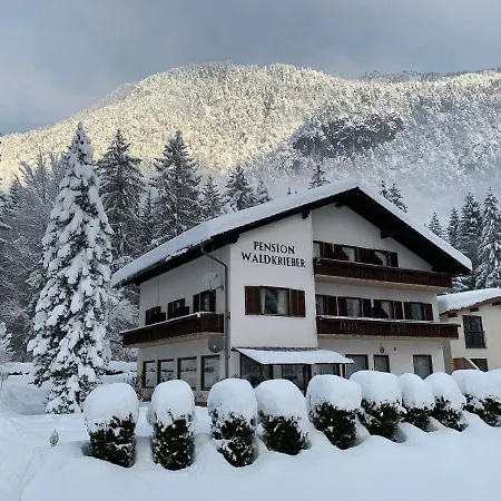 & Waldkrieber Guest house