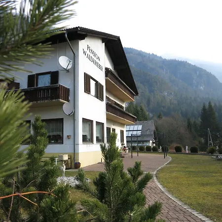 & Waldkrieber Presseggersee