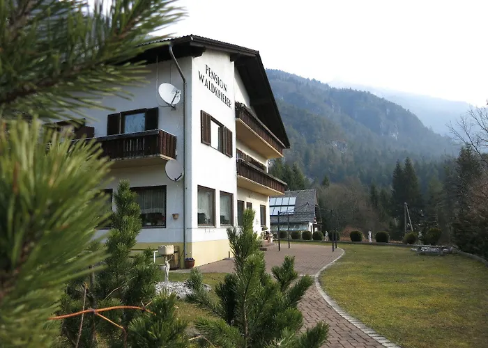 & Waldkrieber פרסגרזי