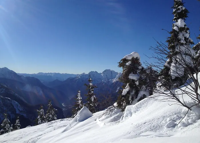 & Waldkrieber 3* פרסגרזי