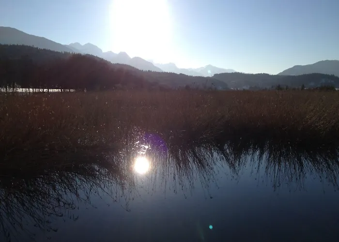 בית הארחה & Waldkrieber 3*